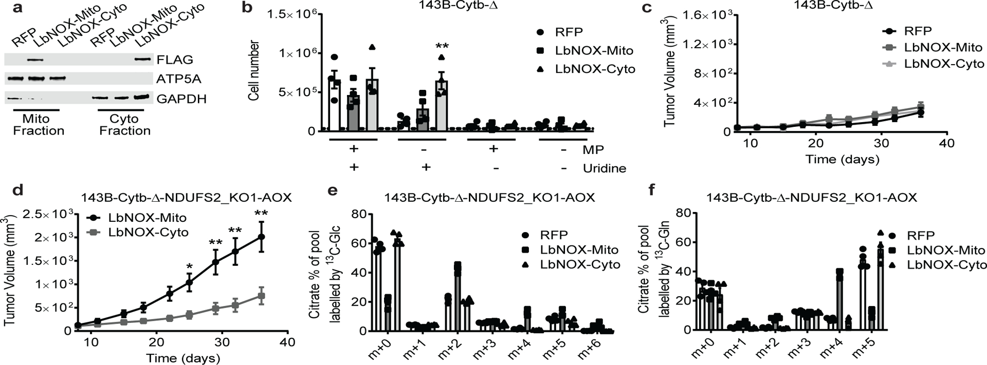 Figure 4: