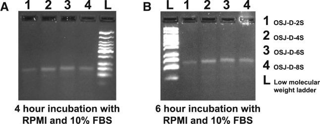 Figure 4