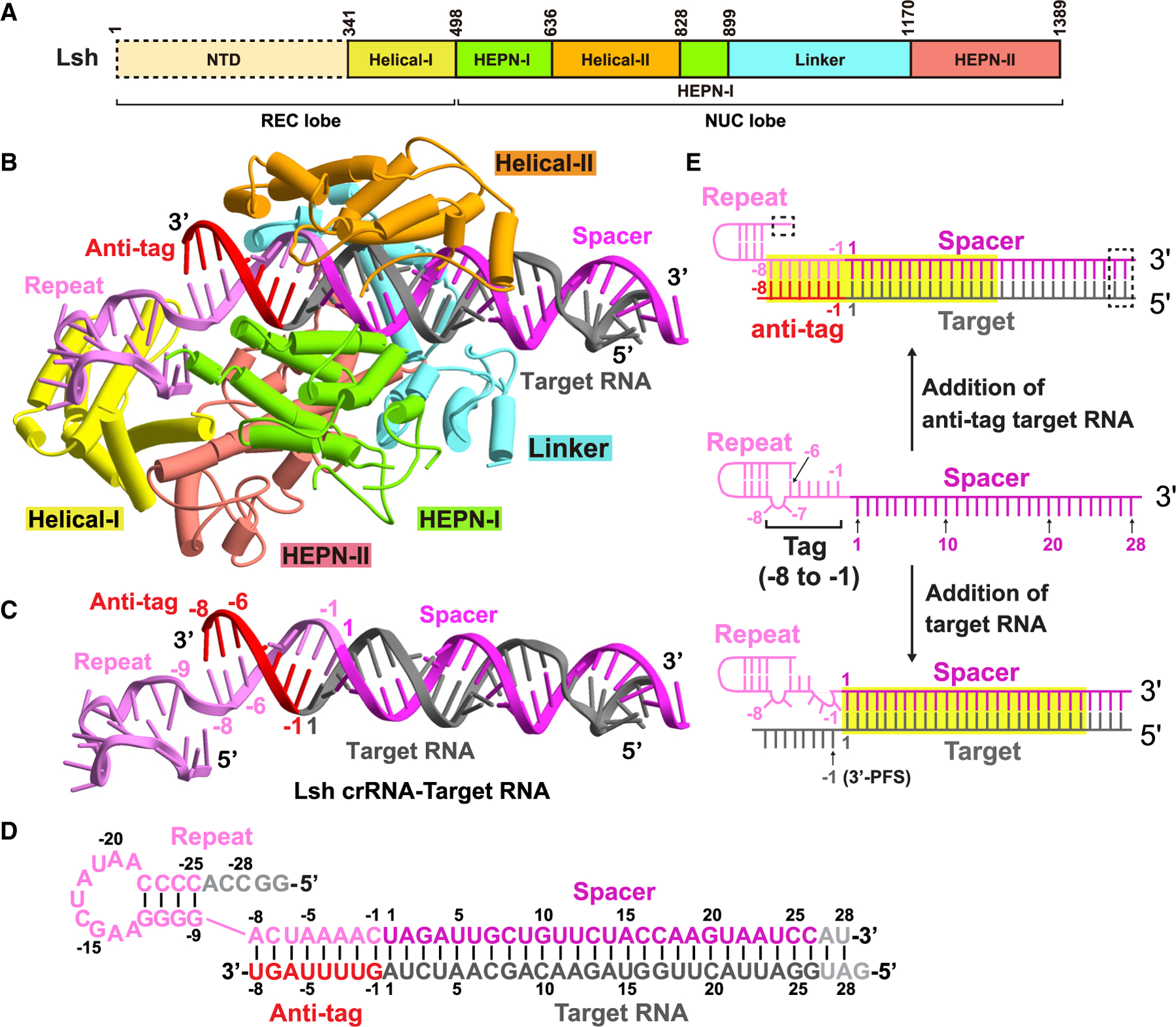 Figure 2.