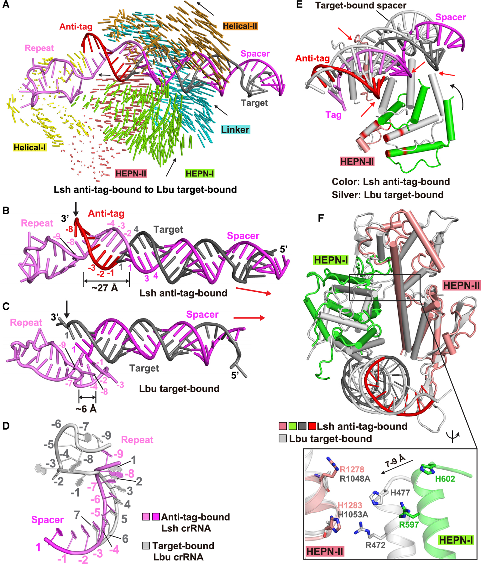 Figure 6.