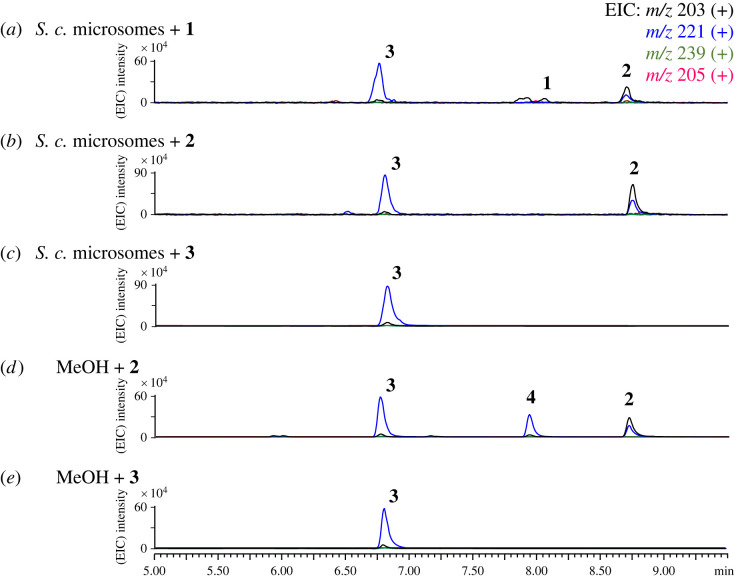 Figure 3. 