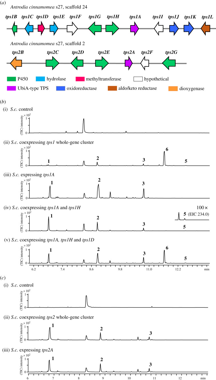 Figure 2. 