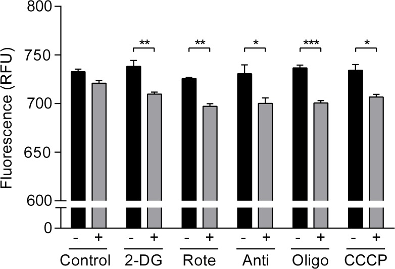 Fig 7