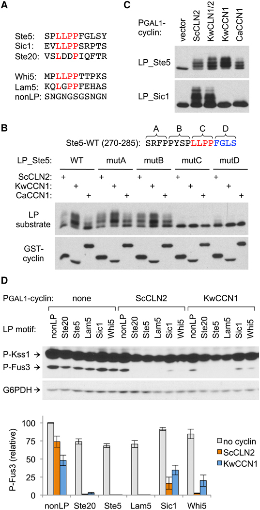 Figure 2.