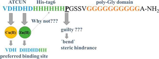 graphic file with name ic2c02584_0003.jpg