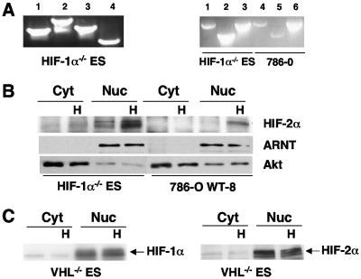 FIG. 5.