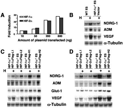 FIG. 8.