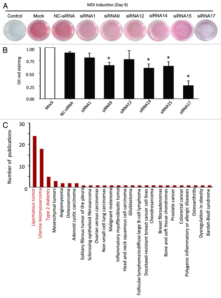 graphic file with name rna-10-990-g4.jpg