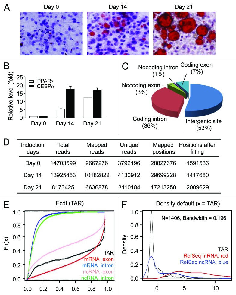 graphic file with name rna-10-990-g1.jpg