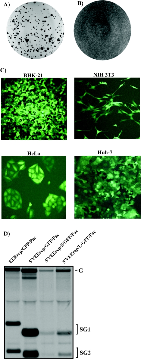 FIG. 8.