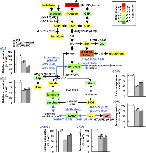 Figure 5.