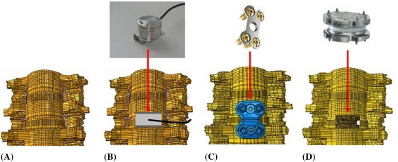 Fig. 1A–D