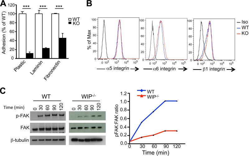 FIG 2