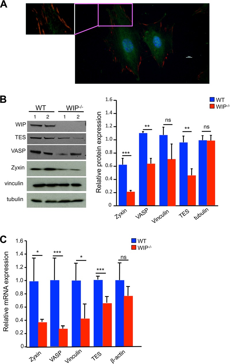 FIG 3