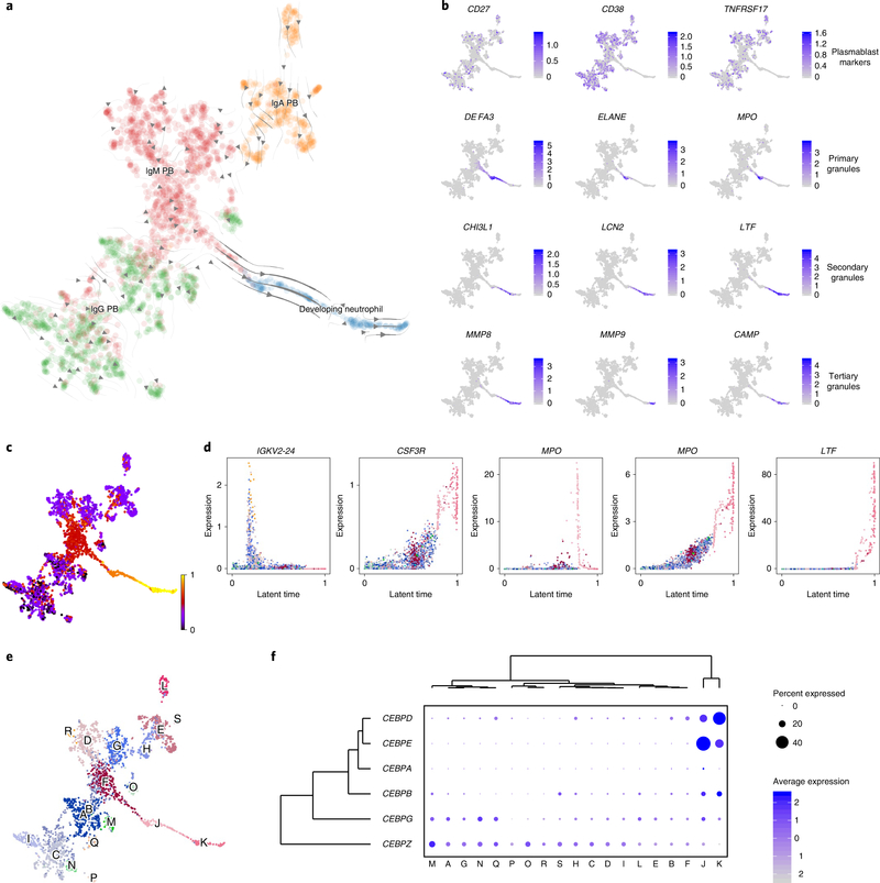 Fig. 4 |