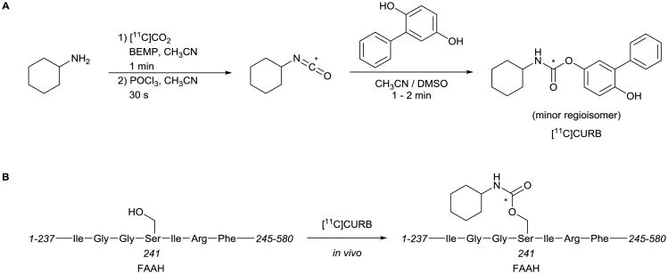 Scheme 5