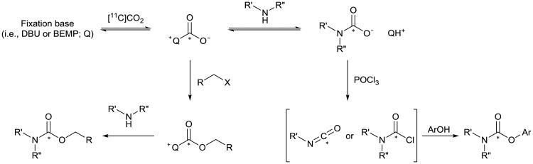 Scheme 4