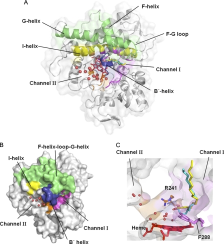 FIGURE 1.