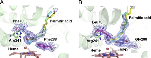 FIGURE 9.