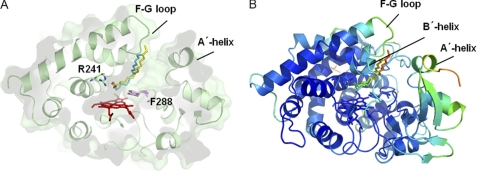 FIGURE 3.