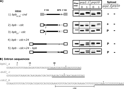 FIG. 6.