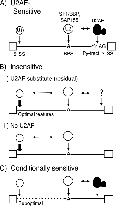 FIG. 7.