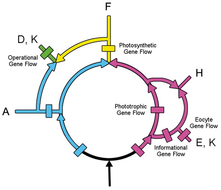 Fig. 5.—