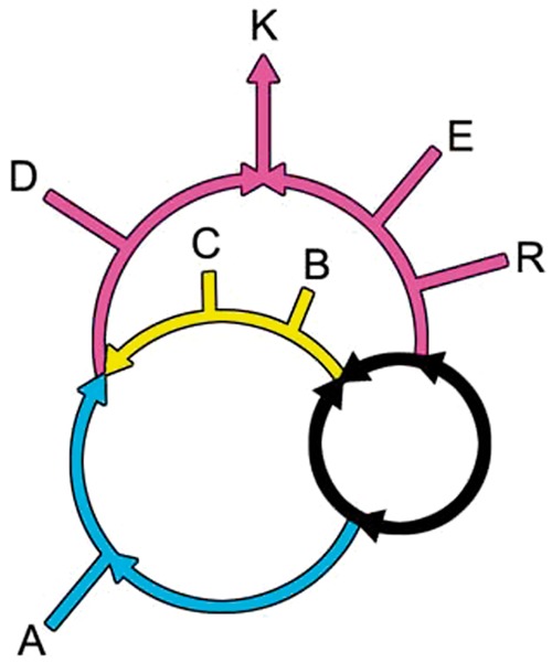 Fig. 1.—