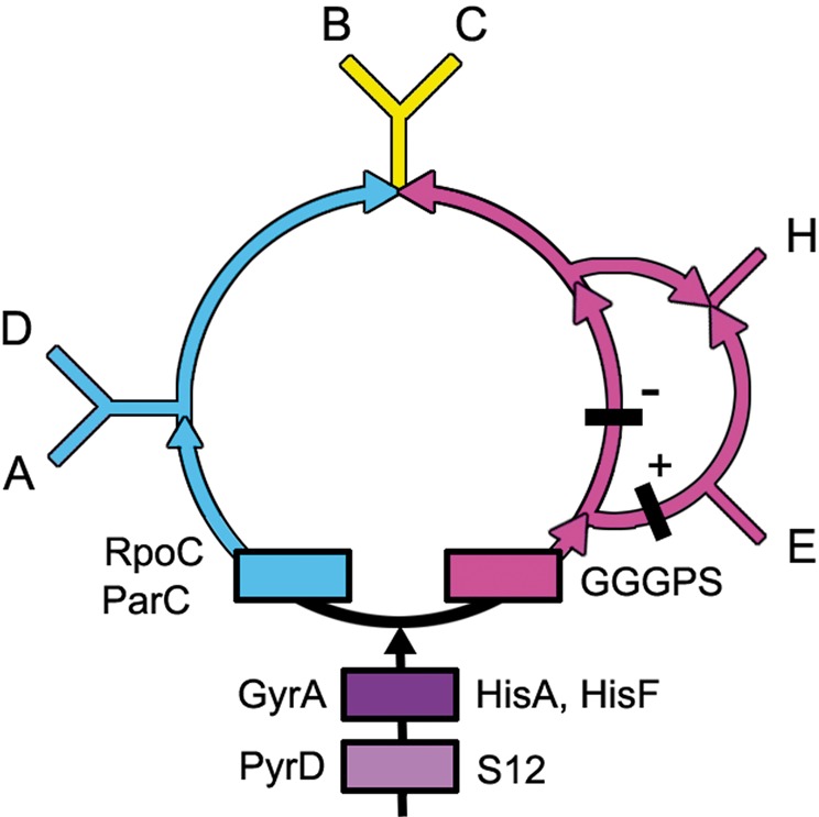 Fig. 3.—