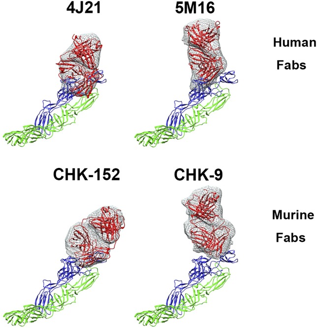 Fig. 6.