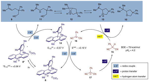 Scheme 4