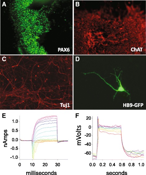 Fig. 4