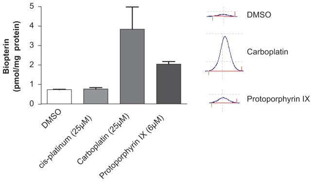 FIG. 6