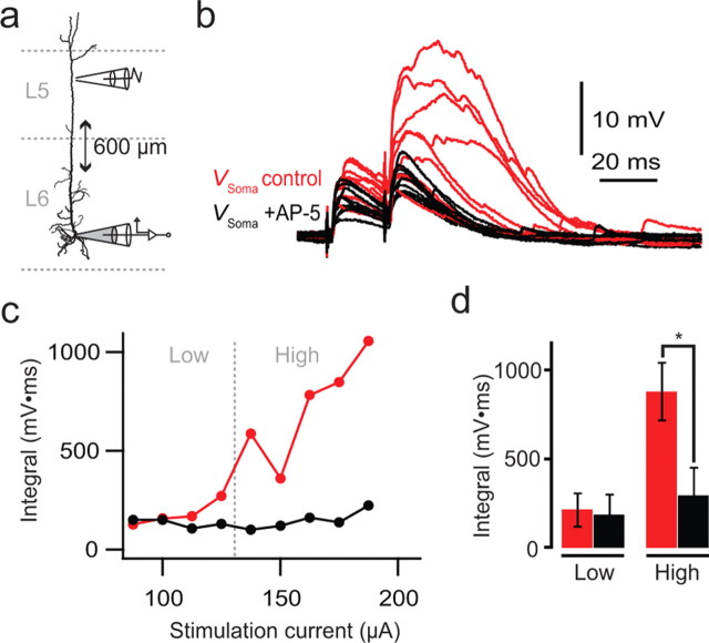 Figure 10.