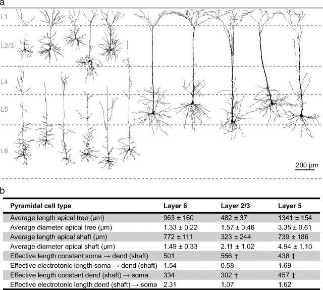 Figure 12.