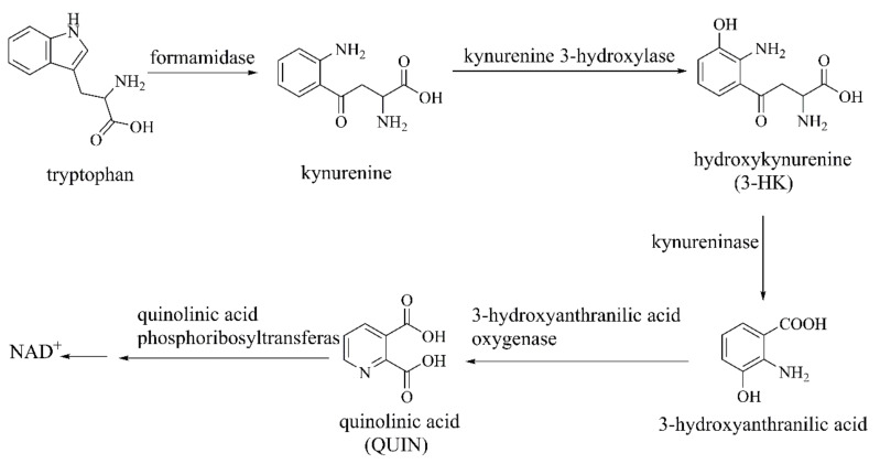 Figure 15