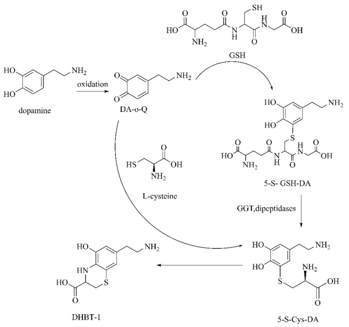 Figure 13