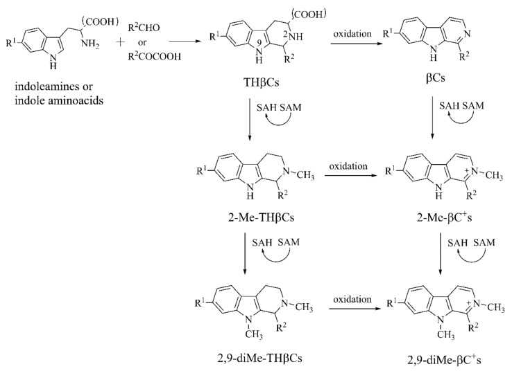 Figure 9