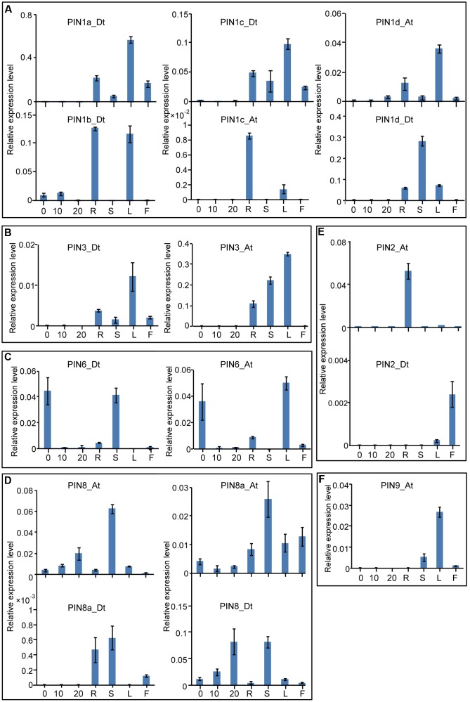 FIGURE 4