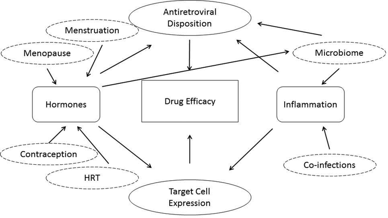 Figure 1: