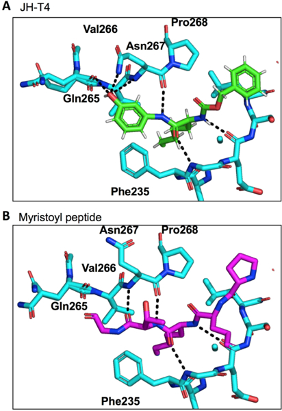 Figure 3.