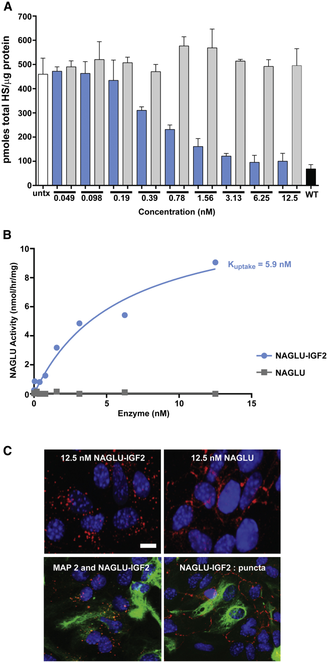 Figure 5