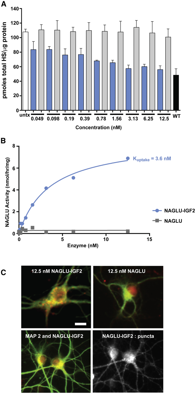 Figure 4