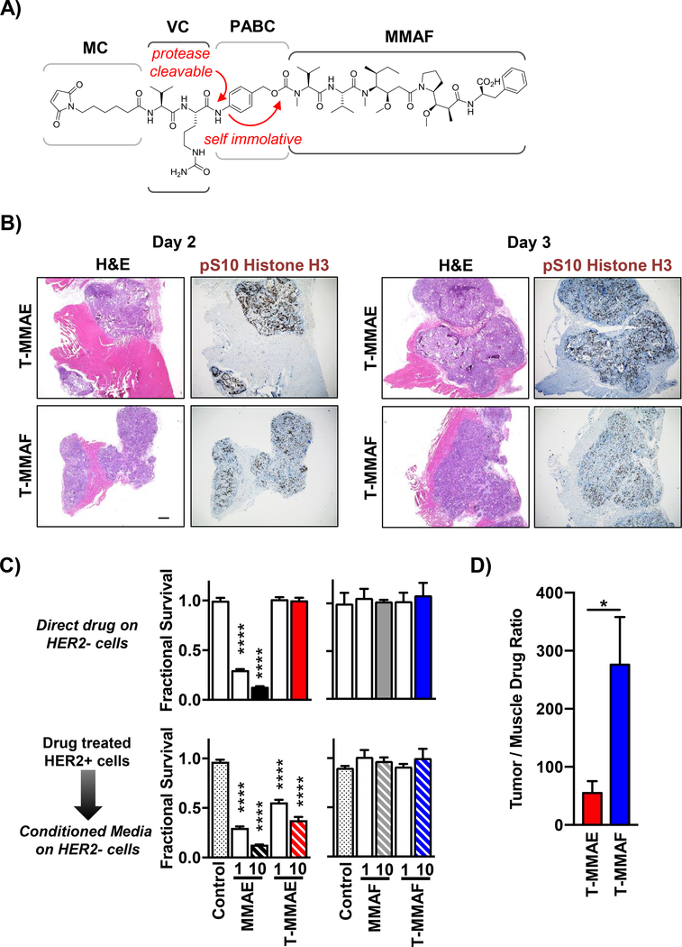 Figure 4: