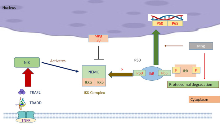 FIGURE 3