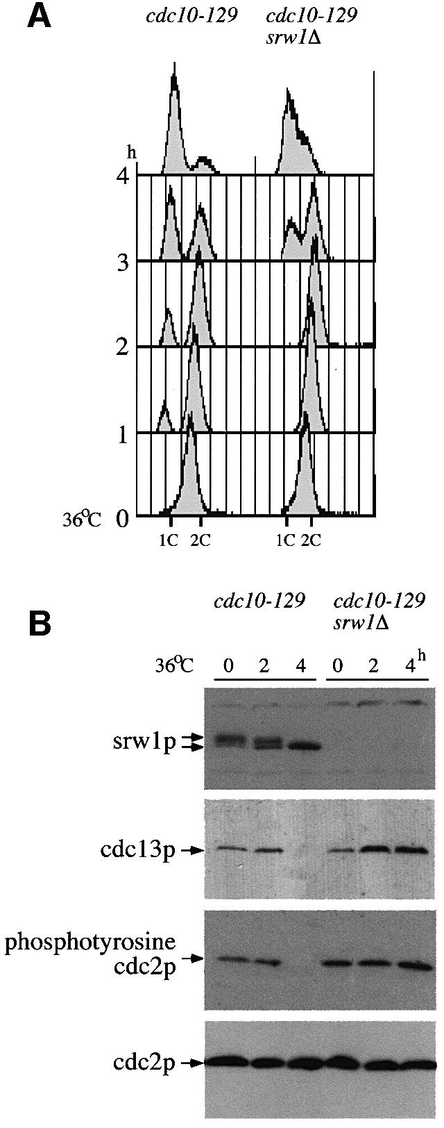 graphic file with name cdd396f3.jpg