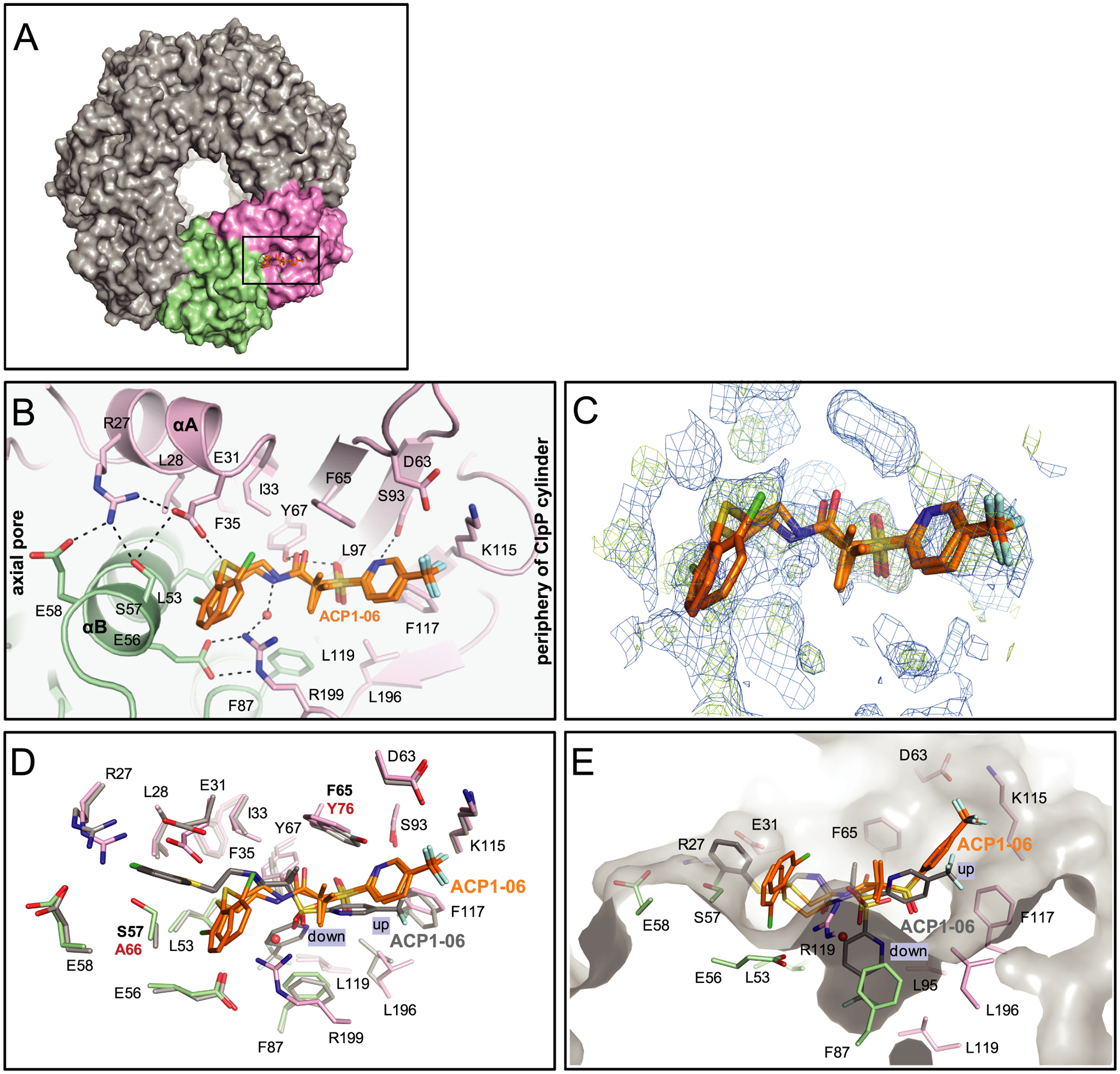 Figure 4.