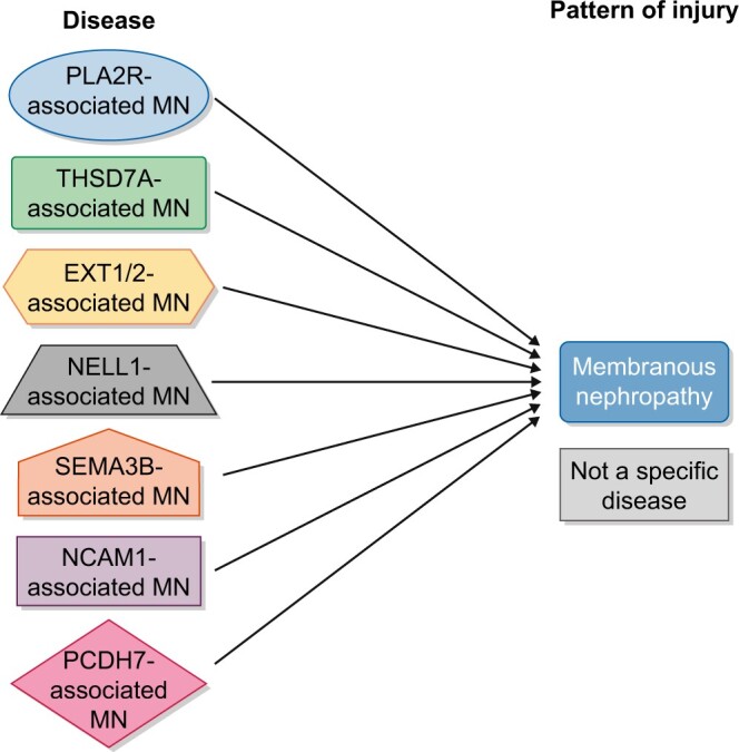 FIGURE 1: