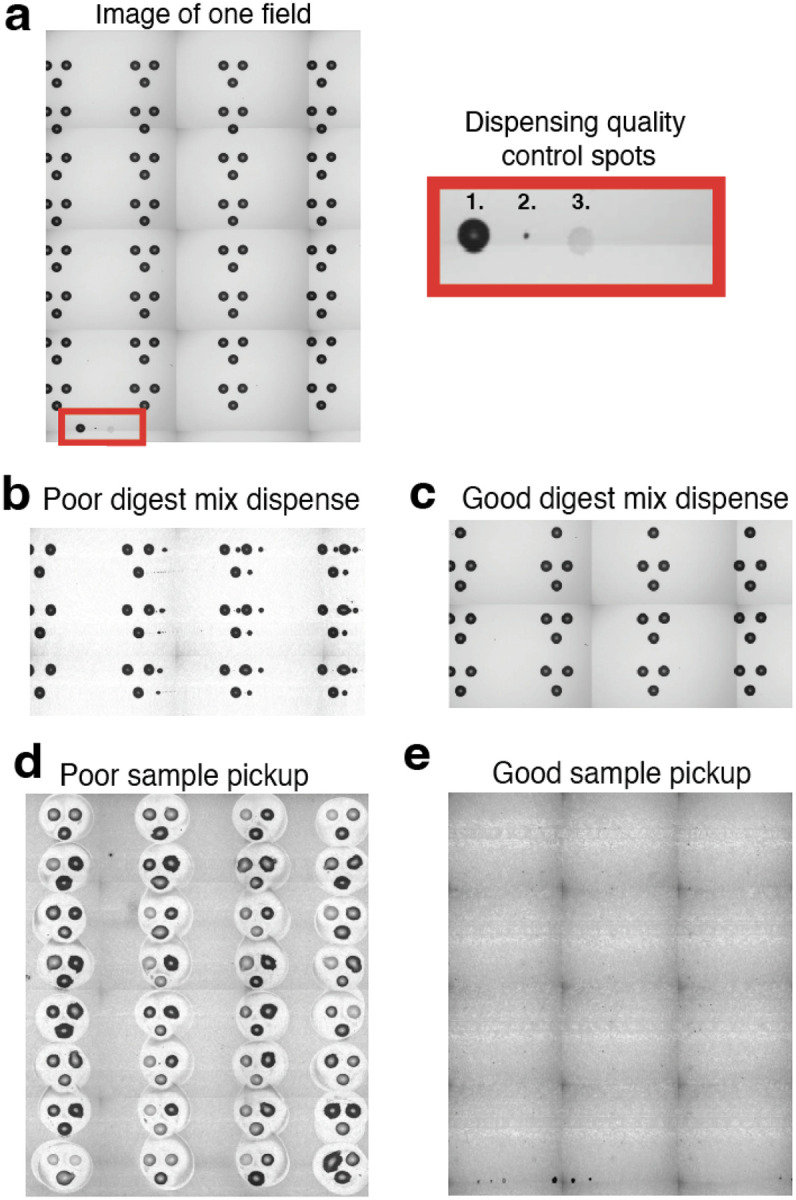 Figure 4 |