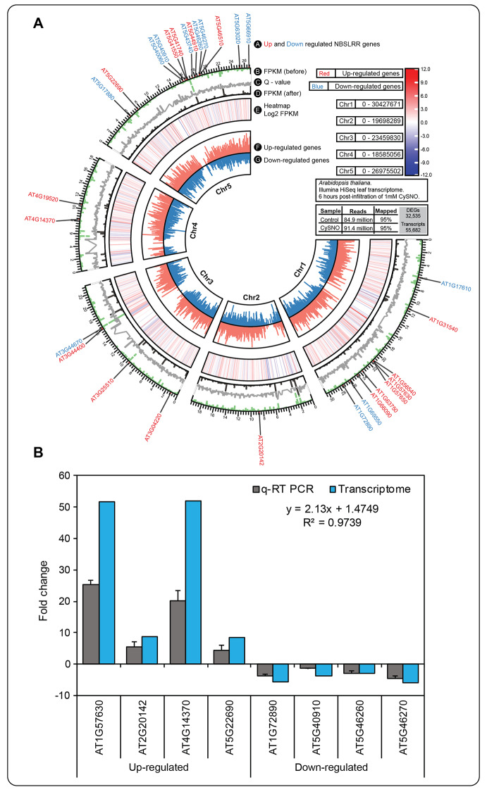 Fig. 6